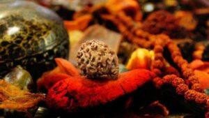Rudraksha_benefits