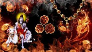 shiva-rudraksha-power