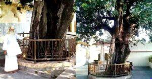 kameshwar-dham-balia