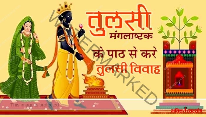तुलसी मंगलाष्टक (Tulsi Mangalashtak) तुलसी विवाह पर होने वाला पाठ
