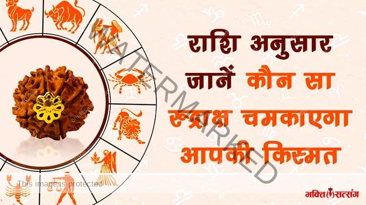राशि के अनुसार रुद्राक्ष धारण से पाए कष्टों से मुक्ति